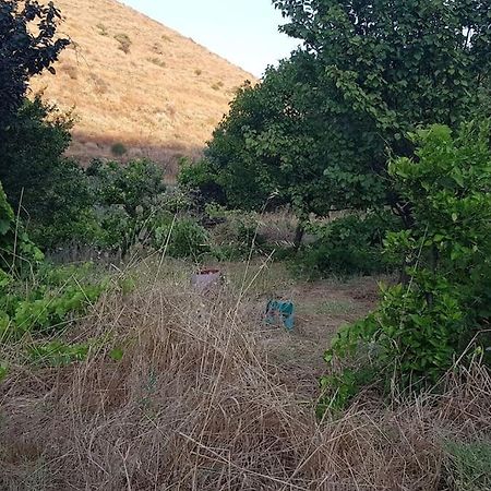 Κυθνος Δρυοπίδα, Στούντιο Χατζής Villa Dhriopís Dış mekan fotoğraf