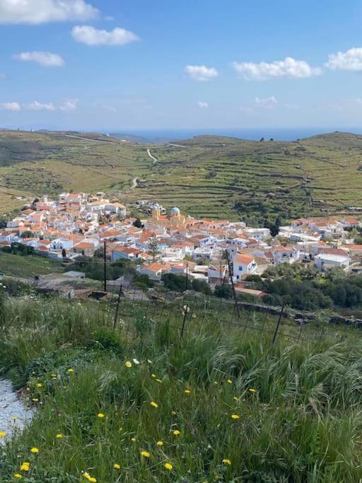 Κυθνος Δρυοπίδα, Στούντιο Χατζής Villa Dhriopís Dış mekan fotoğraf