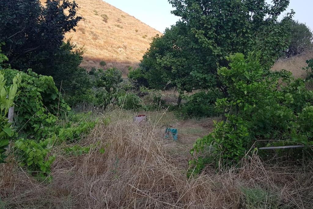 Κυθνος Δρυοπίδα, Στούντιο Χατζής Villa Dhriopís Dış mekan fotoğraf
